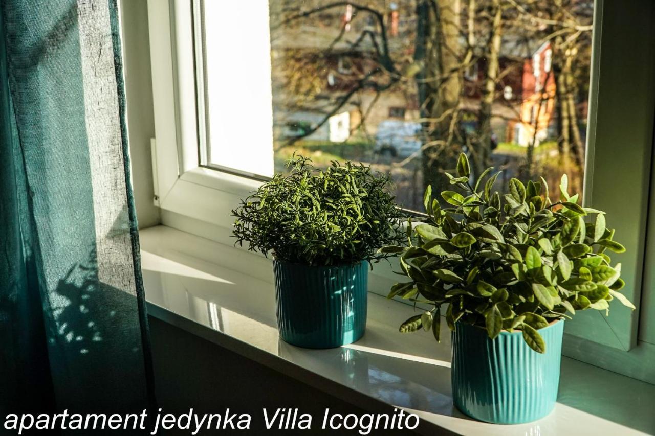 Apartament Jedynka Villa Incognito Szklarska Poręba Buitenkant foto